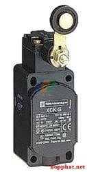 LIMIT SWITCH - XCKS131H29