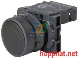 PUSHBUTTON BLACK - XB5AA21