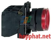 ILLUMINATED PUSHBUTTON - XB5AW3465