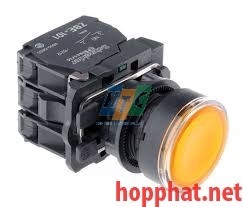 ILLUMINATED PUSHBUTTON - XB5AW3565