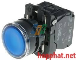 ILLUMINATED PUSHBUTTON - XB5AW36B5