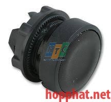 PUSHBUTTON OPERATOR HEAD - ZB5AA2