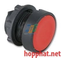 PUSHBUTTON OPERATOR HEAD - ZB5AA4