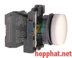 DIRECT SUPPLY PILOT LIGHT - XB5AV61