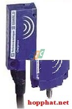 DDPI ANALOG FORMD SN=40MM ANALOG 10-36VD - XS9D111A2L2